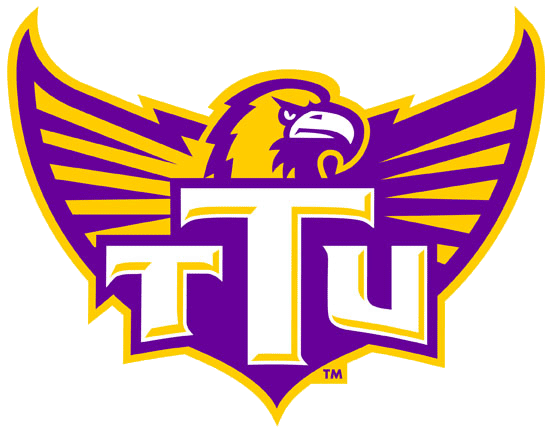 Tennessee Tech Golden Eagles 2006-Pres Alternate Logo diy fabric transfers